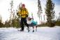 Preview: Ruffwear Polar Trex 2 Stck. Obsidian Black Gr. XL Preview: Ruffwear Polar Trex 2 Stck. Obsidian Black Gr. XL